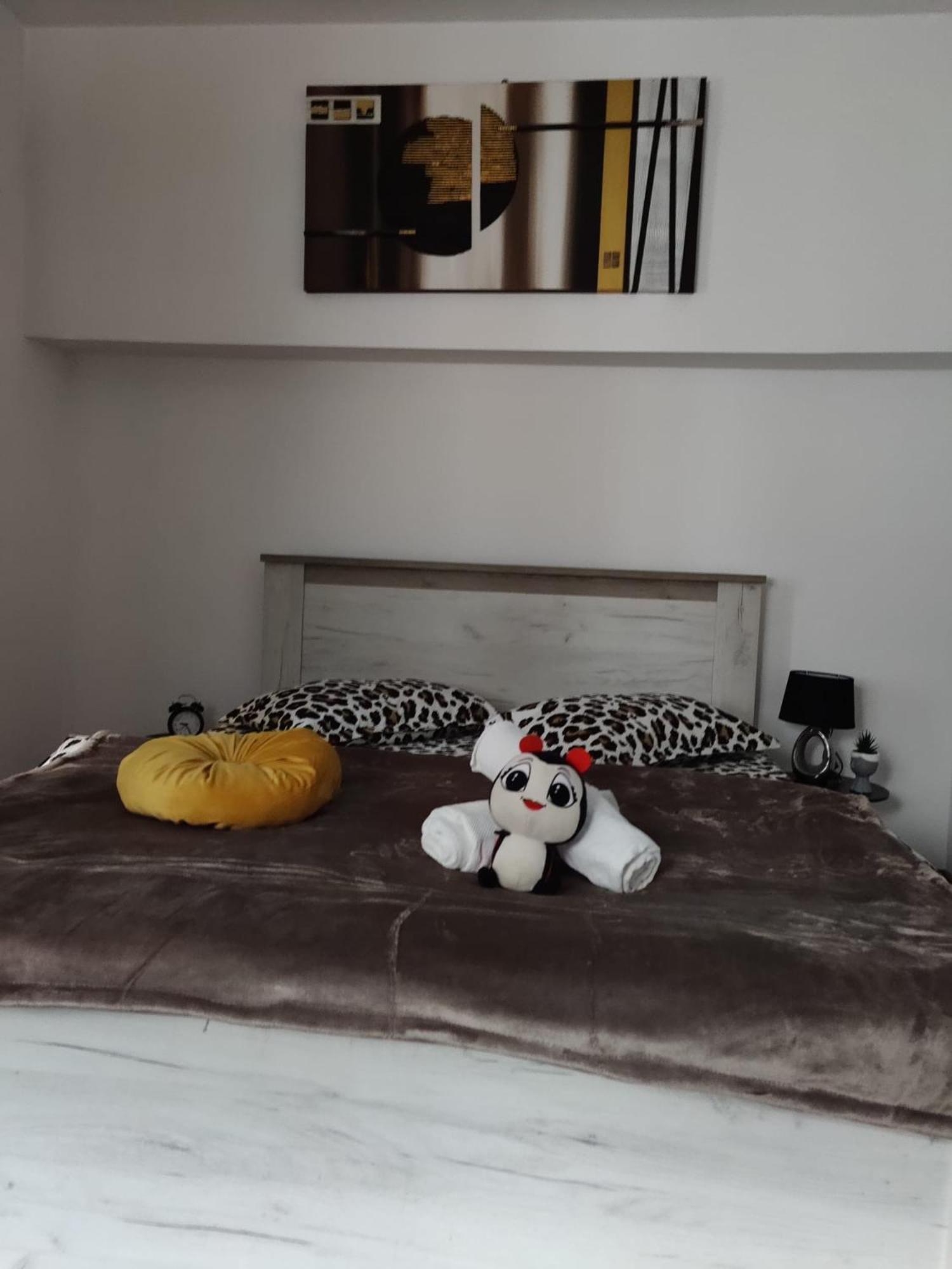 New Residence 브라쇼브 외부 사진